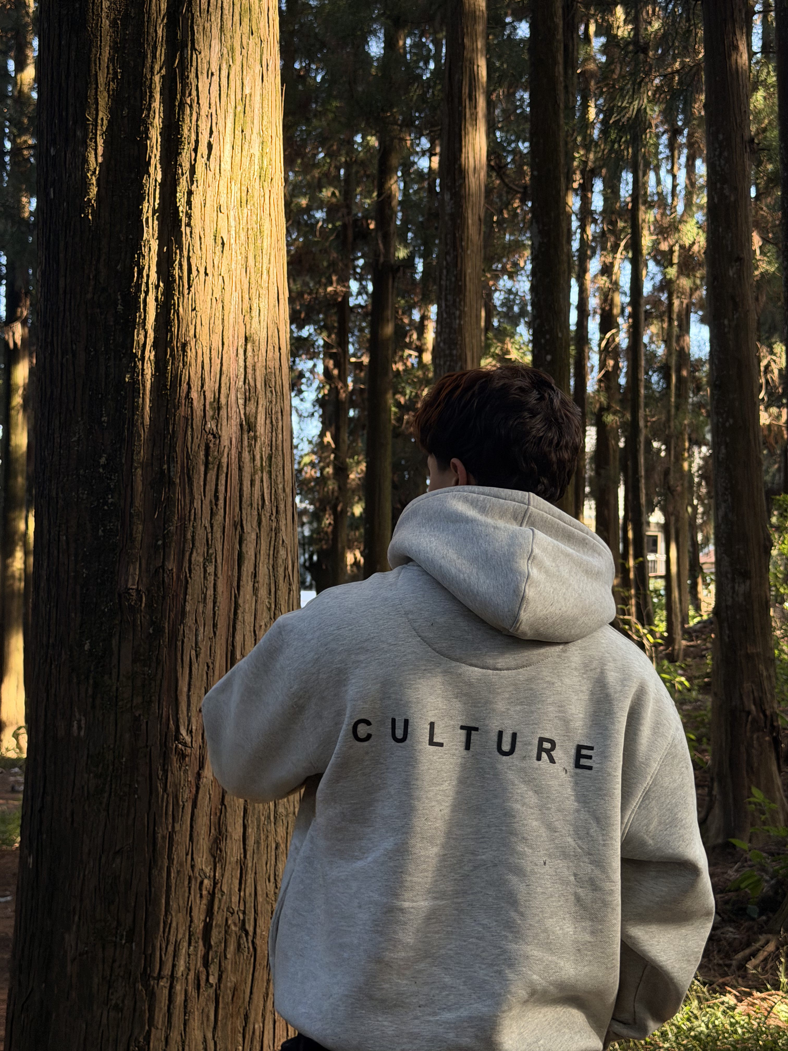 ROYAL VINTAGE JET V2 MELANGE GREY HOODIE